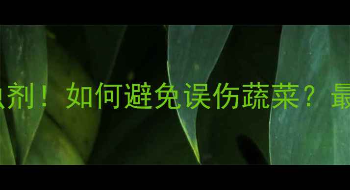 图片 科学使用杀虫剂！如何避免误伤蔬菜？最新农业指南1