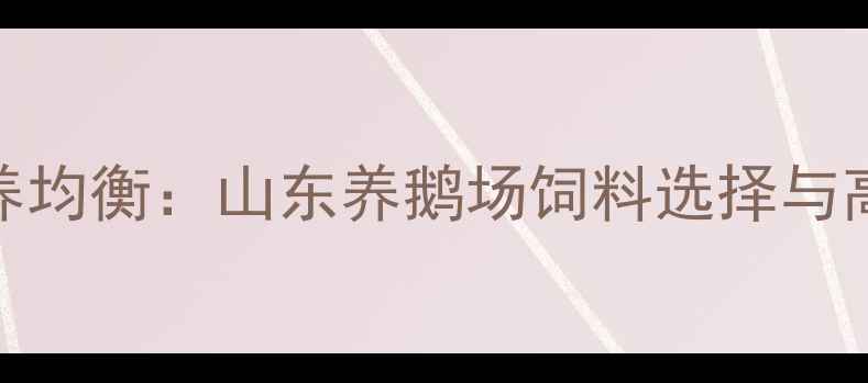 图片 科学配比与营养均衡：山东养鹅场饲料选择与高效养殖全攻略