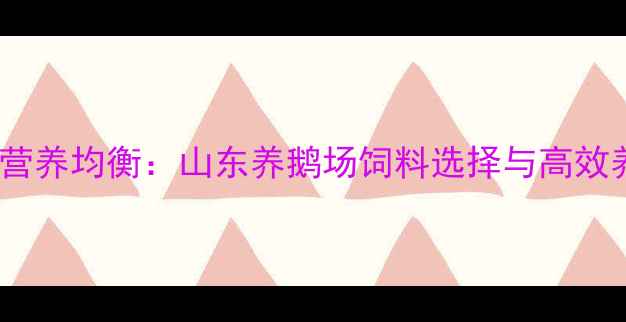 图片 科学配比与营养均衡：山东养鹅场饲料选择与高效养殖全攻略1