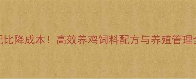 图片 科学配比降成本！高效养鸡饲料配方与养殖管理全攻略