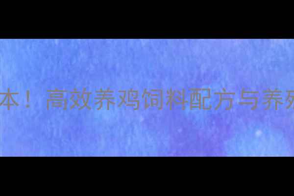 图片 科学配比降成本！高效养鸡饲料配方与养殖管理全攻略1