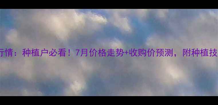 图片 稷山玉米最新价格行情：种植户必看！7月价格走势+收购价预测，附种植技巧（附权威数据）1