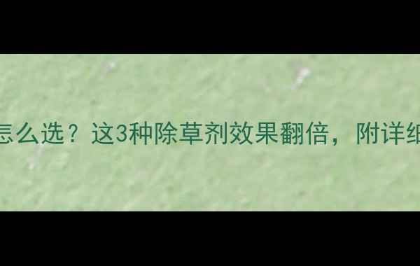图片 繁缕除草剂怎么选？这3种除草剂效果翻倍，附详细使用指南！