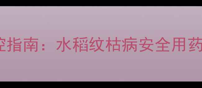 图片 联苯三唑磷高效防控指南：水稻纹枯病安全用药技术与田间管理全1