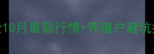 图片 肇东市生猪价格波动全10月最新行情+养殖户避坑指南（附成本核算表）