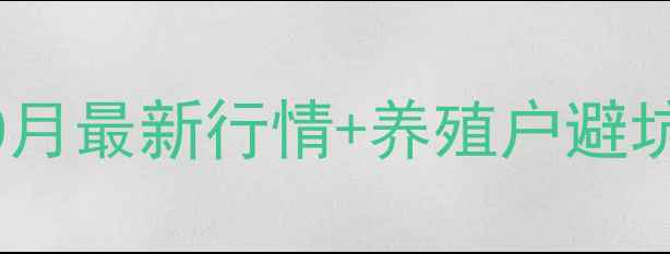 图片 肇东市生猪价格波动全10月最新行情+养殖户避坑指南（附成本核算表）1