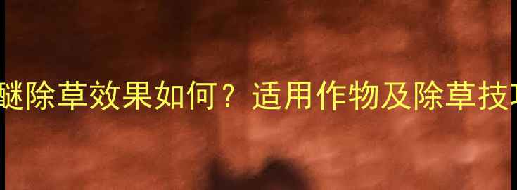 图片 胺草醚除草效果如何？适用作物及除草技巧全1