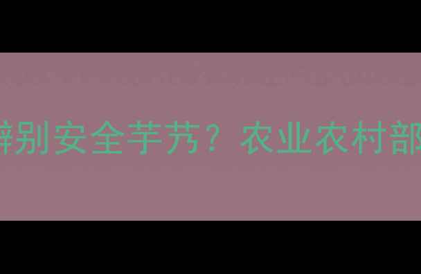 图片 芋艿农药残留权威解读：如何辨别安全芋艿？农业农村部最新检测数据及安全食用指南1