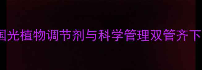 图片 花生高产新技术：国光植物调节剂与科学管理双管齐下，亩产突破800公斤