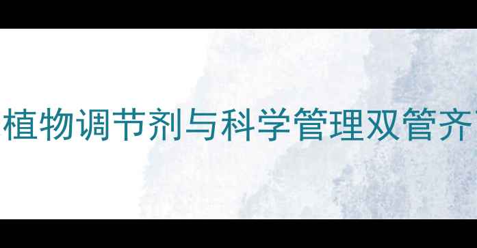 图片 花生高产新技术：国光植物调节剂与科学管理双管齐下，亩产突破800公斤1