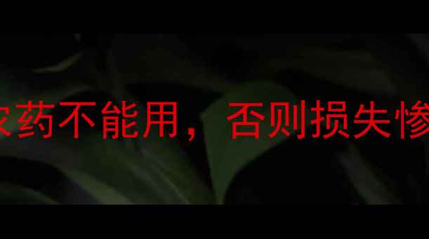 图片 芹菜药害全！这7种农药不能用，否则损失惨重！附安全用药指南