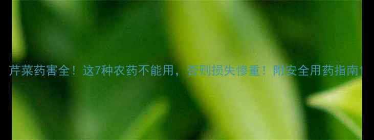 图片 芹菜药害全！这7种农药不能用，否则损失惨重！附安全用药指南1