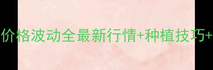 图片 苍山蒜薹价格波动全最新行情+种植技巧+市场趋势