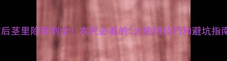 图片 苗后茎里除草剂全！农民必看的5大使用技巧和避坑指南1