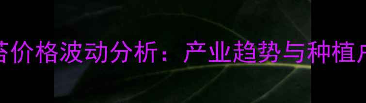 图片 莱芜鲜蒜苔价格波动分析：产业趋势与种植户应对策略