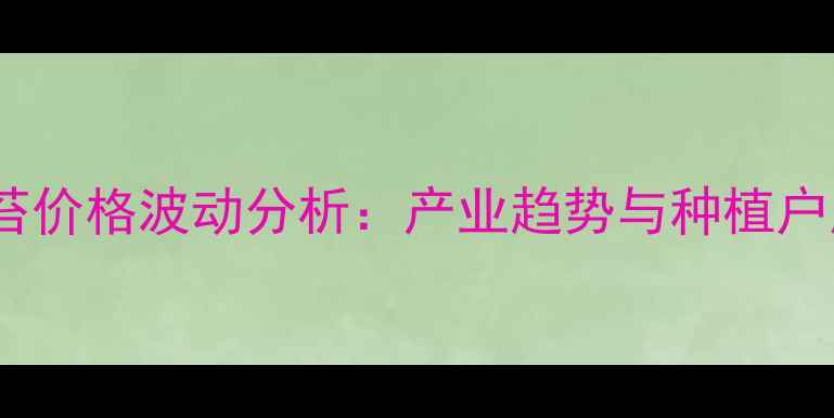 图片 莱芜鲜蒜苔价格波动分析：产业趋势与种植户应对策略1