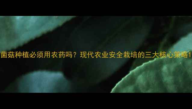图片 菌菇种植必须用农药吗？现代农业安全栽培的三大核心策略1