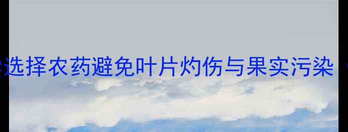 图片 葡萄树安全用药指南：科学选择农药避免叶片灼伤与果实污染（附用药时机与浓度配比）1