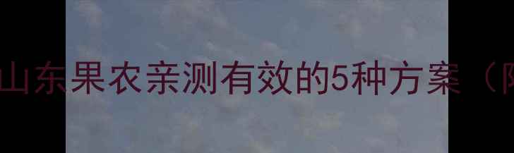 图片 蚜虫爆发期如何选农药？山东果农亲测有效的5种方案（附用药时间表+省钱技巧）