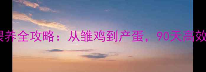 图片 蛋鸡饲料喂养全攻略：从雏鸡到产蛋，90天高效养殖指南1