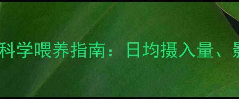 图片 蛋鸡饲料日消耗量与科学喂养指南：日均摄入量、影响因素及管理策略1