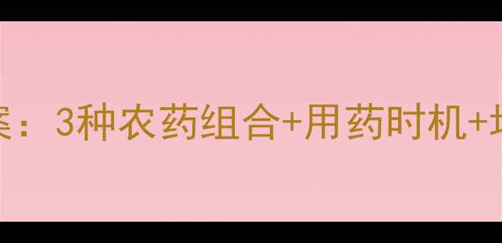 图片 设施农业叶霉病科学复配方案：3种农药组合+用药时机+增效技巧，助您高效控病增收
