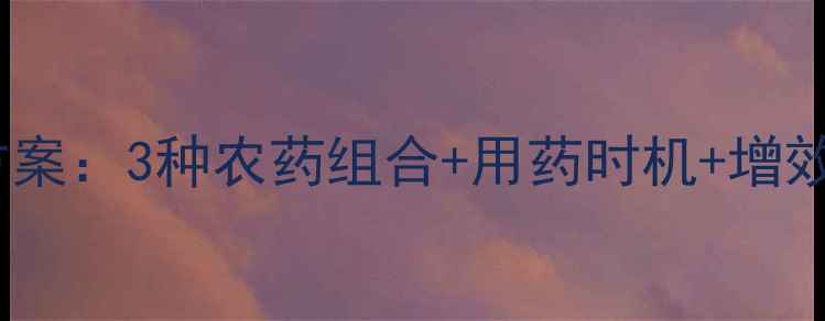 图片 设施农业叶霉病科学复配方案：3种农药组合+用药时机+增效技巧，助您高效控病增收1