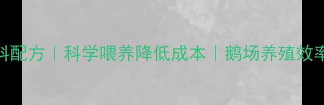 图片 豆油鹅饲料配方｜科学喂养降低成本｜鹅场养殖效率提升指南