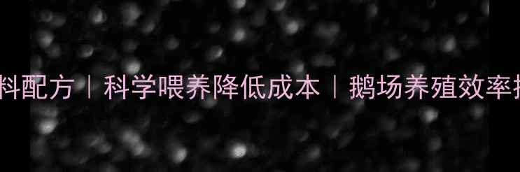 图片 豆油鹅饲料配方｜科学喂养降低成本｜鹅场养殖效率提升指南1