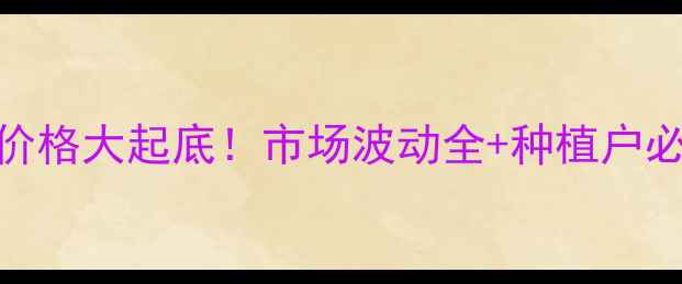 图片 辽宁铁岭玉米价格大起底！市场波动全+种植户必看保价攻略🌾