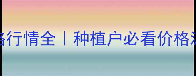 图片 连云港玉米价格行情全｜种植户必看价格波动与应对指南