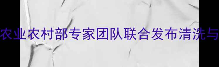 图片 金桔表皮农药残留权威解读：农业农村部专家团队联合发布清洗与种植指南（附安全食用流程）