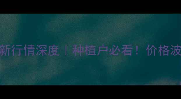 图片 阜新玉米价格9月最新行情深度｜种植户必看！价格波动+市场趋势全攻略