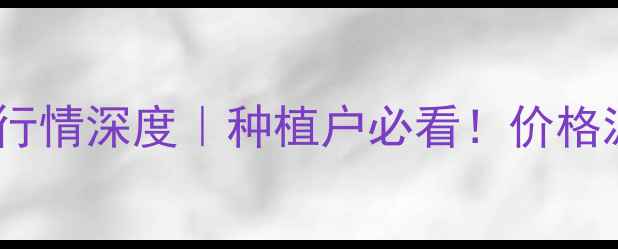 图片 阜新玉米价格9月最新行情深度｜种植户必看！价格波动+市场趋势全攻略1