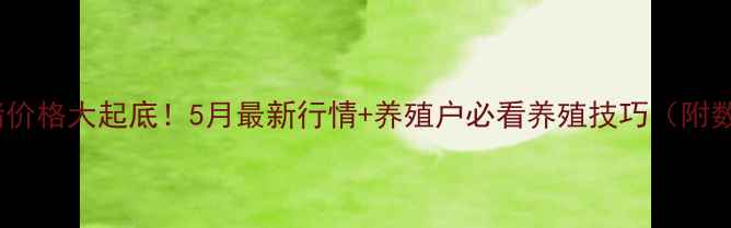 图片 阳春市生猪价格大起底！5月最新行情+养殖户必看养殖技巧（附数据图表）1