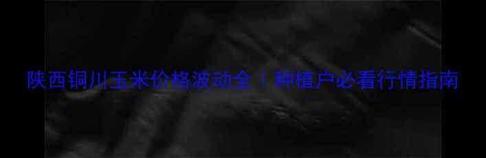 图片 陕西铜川玉米价格波动全｜种植户必看行情指南
