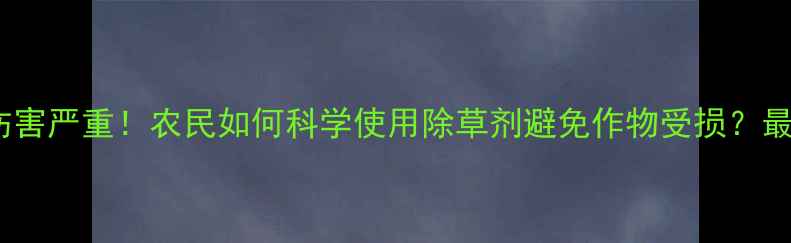 图片 除草剂伤害严重！农民如何科学使用除草剂避免作物受损？最新指南1
