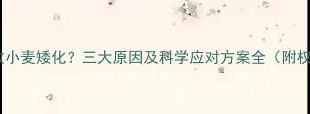 图片 除草剂导致小麦矮化？三大原因及科学应对方案全（附权威数据）1