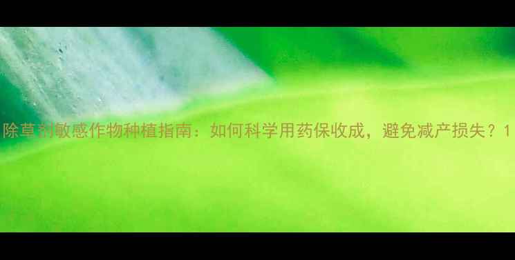 图片 除草剂敏感作物种植指南：如何科学用药保收成，避免减产损失？1