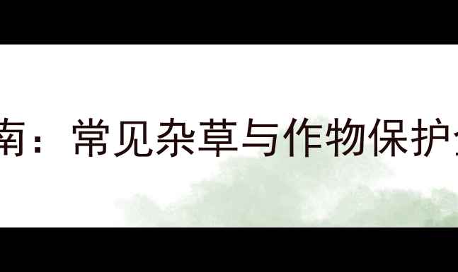 图片 除草剂有效杀灭植物指南：常见杂草与作物保护全（附科学使用方法）1