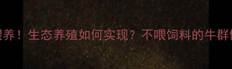 图片 零饲料喂养！生态养殖如何实现？不喂饲料的牛群健康秘诀