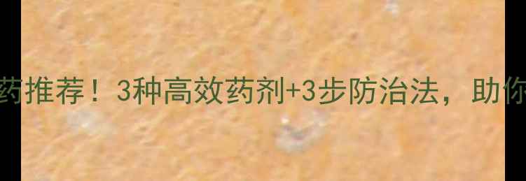 图片 青瓜霜霉病农药推荐！3种高效药剂+3步防治法，助你挽回秋收损失