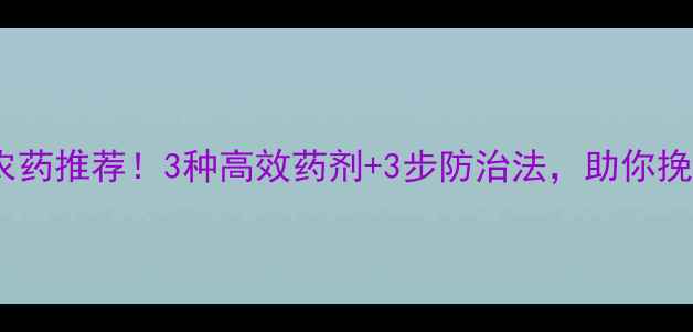 图片 青瓜霜霉病农药推荐！3种高效药剂+3步防治法，助你挽回秋收损失1