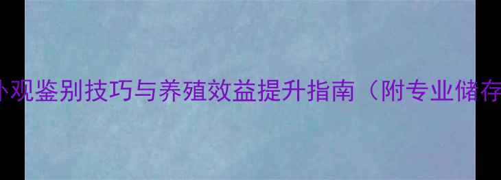 图片 饲料中硫酸锌外观鉴别技巧与养殖效益提升指南（附专业储存与选购指南）1