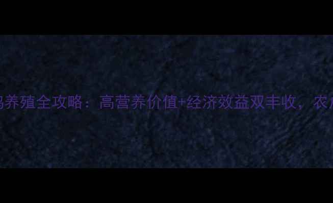 图片 饲料乌鸡养殖全攻略：高营养价值+经济效益双丰收，农户必看！