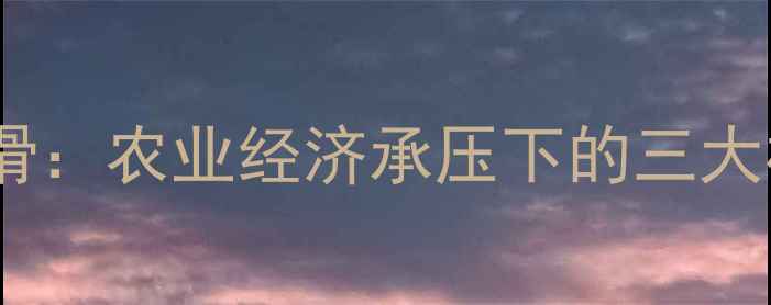 图片 饲料产量连续两年下滑：农业经济承压下的三大核心矛盾与破局路径1