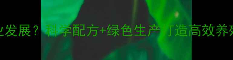 图片 饲料企业如何助力现代农业发展？科学配方+绿色生产打造高效养殖新生态（最新行业指南）