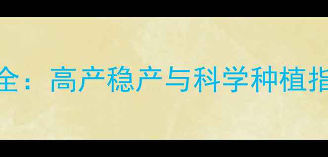 图片 饲料玉米特征特性全：高产稳产与科学种植指南（附品种推荐）