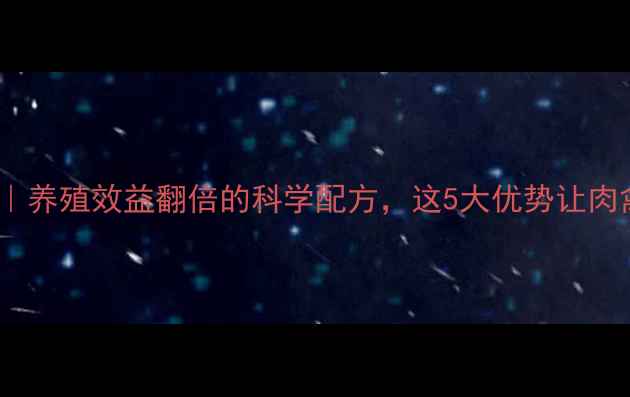 图片 饲料黄金维他｜养殖效益翻倍的科学配方，这5大优势让肉禽蛋产量飙升1