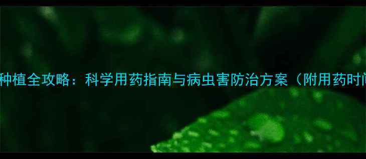 图片 马铃薯种植全攻略：科学用药指南与病虫害防治方案（附用药时间表）1